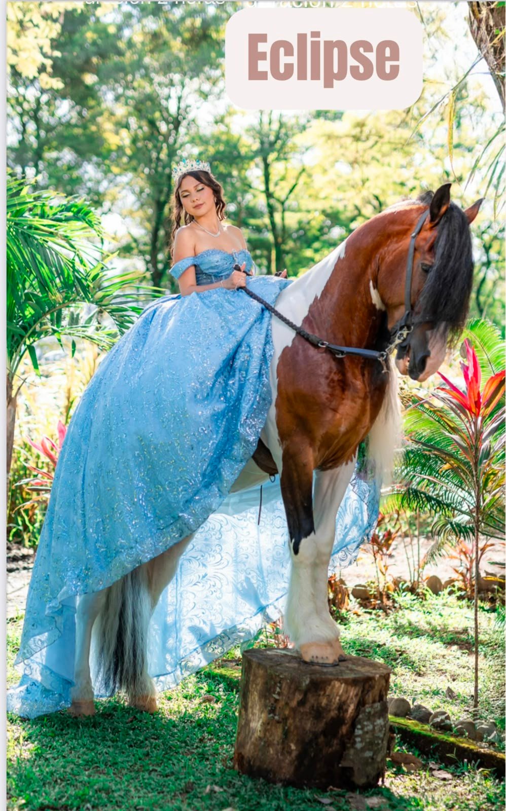 Caballo Eclipse