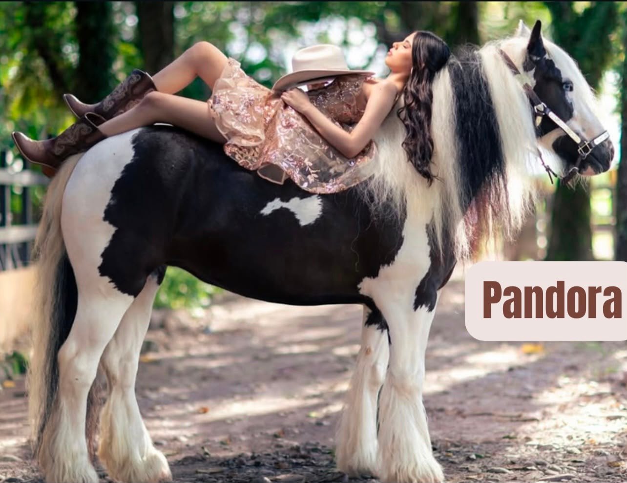 Yegua Pandora