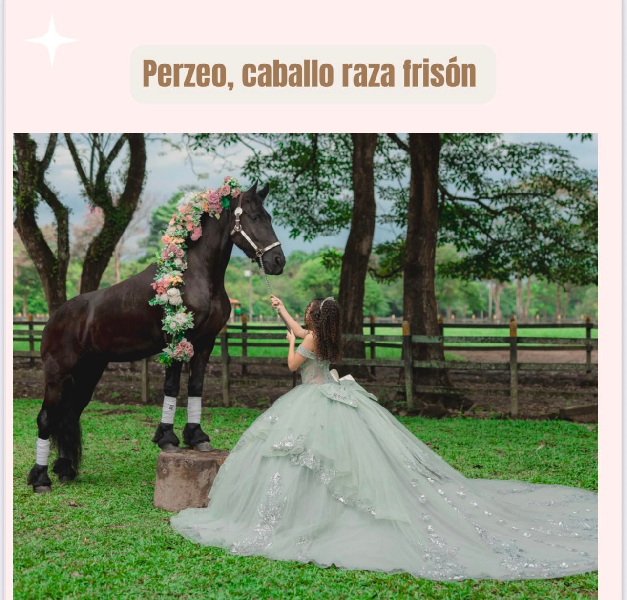 Caballo Perseo