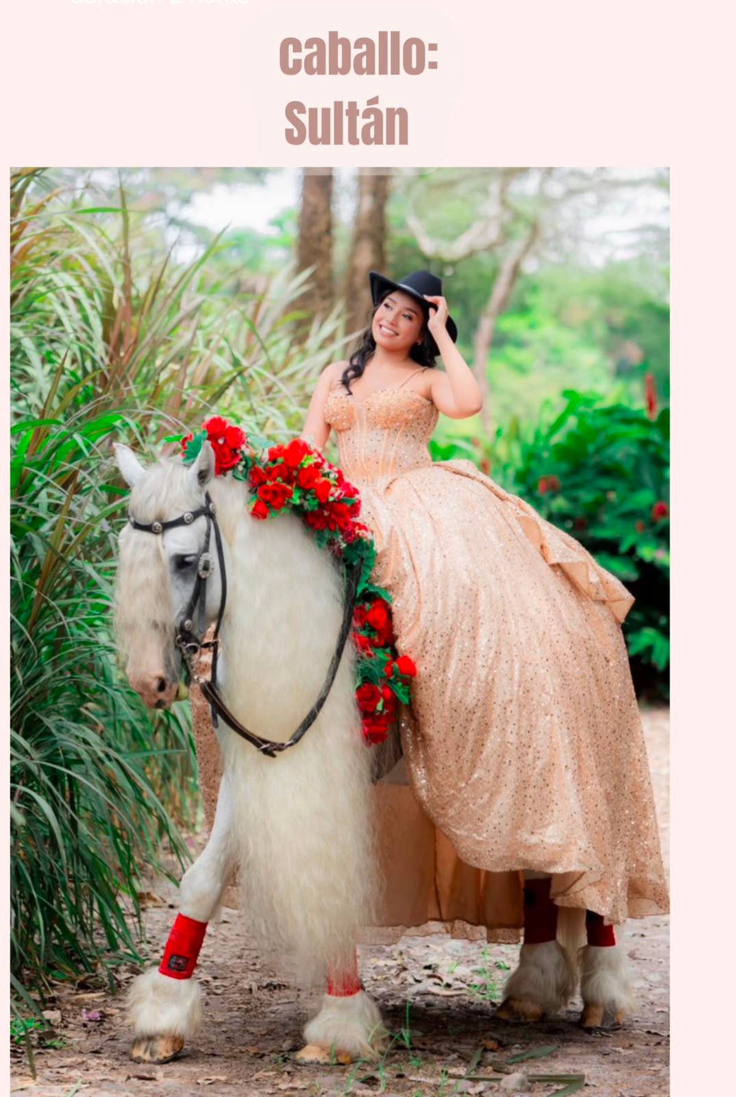 Caballo Sultán